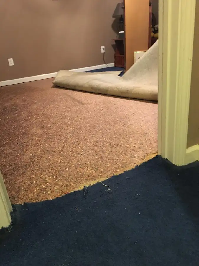 Carpet pad removal revealing water damage during Drying & Dehumidification in Lake Lorraine